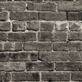 wall